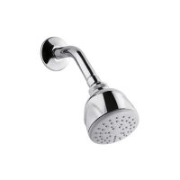 Acacia In-wall Rain Shower Head With Arm