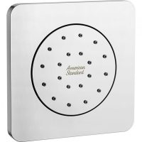 Body Shower with Concealed Body