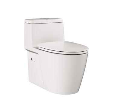 Bồn cầu đặt sàn Grohe 115609 1